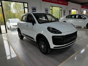 Nuevo Vehículo Eléctrico Mini de Lujo de Baja Velocidad 2025 de Marca China, 5 Plazas, 3500W, para Adultos, Uso Urbano, Volante a la Derecha, Frenos de Vacío Asistidos - Product Image 1