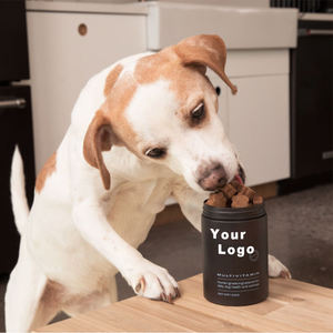 Masticables Multivitamínicos para Perros 2026, Suplementos Blandos para el Cuidado de la Salud con Glucosamina para la Salud Articular, Nutrición Diaria y Apoyo Inmunológico - Product Image 6