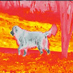 HD cao Powered hồng ngoại cầm tay một mắt sighting máy ảnh nhiệt cho săn bắn - Product Image 6