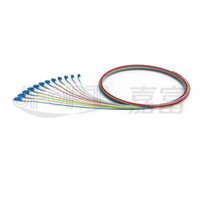 LC Duplex 12-Core 0.9mm Monomode SM MM Fibre Optique Pigtail FTTH FTTX Câble de Communication PVC LSZH 850-1550nm