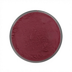 Poudre de fruit de kaki naturelle de haute qualité en gros (ODM/OEM) - Poudre de jus de kaki - Product Image 1