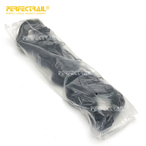 PERFECTRAIL 500388381, piezas de automóvil, junta de tapa de culata para <span class=keywords><strong>Iveco</strong></span> <span class=keywords><strong>Daily</strong></span> para camiones Renault para Fiat Ducato para Citroen - Product Image 6