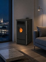 Estufa de Pellets de Madera Independiente, de Venta Directa de Fábrica, con Alimentación Automática, Ahorro de Energía, Ecológica, con Aire Caliente para Calefacción del Hogar