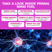 Cápsulas nootrópicas al por mayor directas de fábrica para ayudar a los adultos al cerebro saludable y soporte cognitivo suplemento de cápsulas de aminoácidos