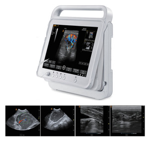 NUEVO PT50C Color Doppler Tecnología de imagen avanzada Ligero de mano Portátil Ultrasonido portátil Veterinario - Product Image 4
