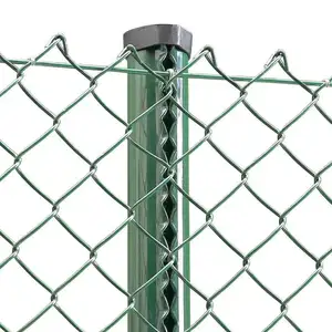 Chain Link Mesh Twill Weave Farm Fence Galvanized Steel Wire Woven Chain Link Fence