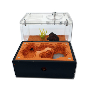 Granja de hormigas acrílicas DIY nido hormiguero Castillo caja de insectos para observar hábitat de hormigas vivas para niños y niñas - Product Image 2