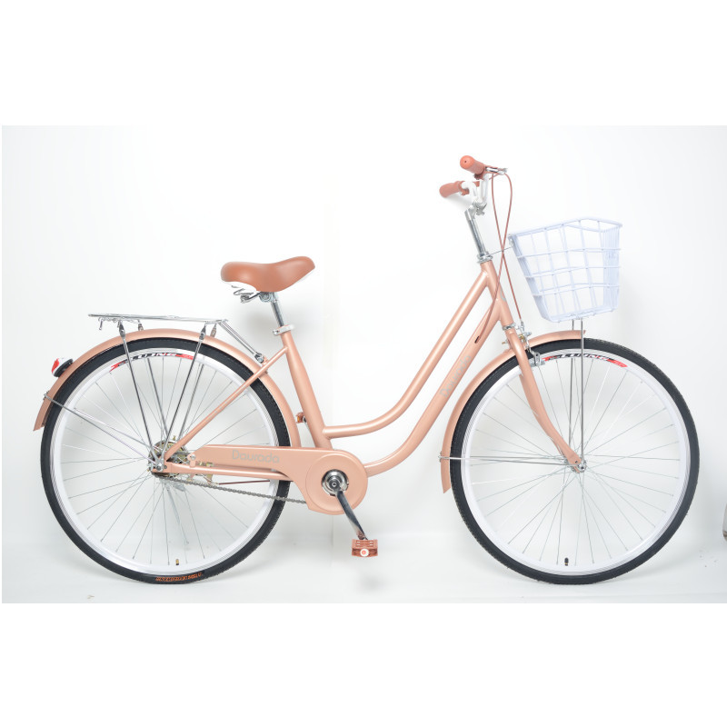 Venus Bikes Quality Electric Bicycles Indoor Rides