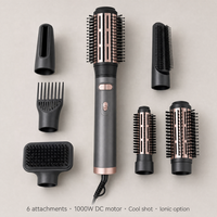 Styler capillaire portable 6-en-1 multi-accessoires pour lissage, bouclage, peigne, brosse, séchage, 3 réglages de chaleur, contrôle de la chaleur polyvalent