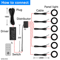 Boîtier de contrôle sans fil VST Dual CCT Light 2 Pin JST Port