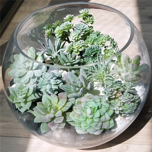 LUYI - Plantas Suculentas Artificiales de Plástico, 11 Piezas, <span class=keywords><strong>Mini</strong></span> Suculentas Artificiales, Echeveria, <span class=keywords><strong>Agave</strong></span>, Surtido de Plantas Verdes Artificiales Colgantes - Product Image 6