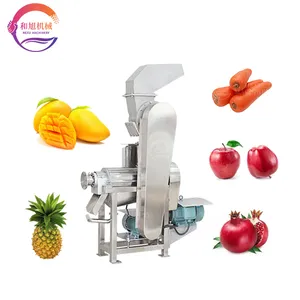 工业冷榨汁机苹果/胡萝卜/菠萝/石榴汁压榨设备