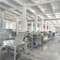 Fabrieksmatige sorteer-, inspectie-, week-, was- en drooglijn voor fruit en groenten, CE-gecertificeerd