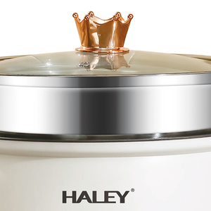 HALEY Compra al por mayor OEM/ODM Olla eléctrica multifuncional de 5L con revestimiento antiadherente y <span class=keywords><strong>vaporera</strong></span> para importadores de electrodomésticos - Product Image 6