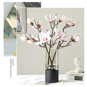 Jarrón de Vidrio Transparente de Estilo Americano, Decoración Creativa para el Hogar, Florero Hidropónico de Mesa, Exhibición Suave - Product Image 6