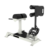 Équipement de fitness professionnel : Chaise romaine pour le développement des fessiers et des ischio-jambiers, entraînement de la force des jambes et des abdominaux