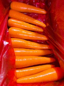 Cây trồng mới Trung Quốc tươi Cà rốt giá mỗi Tấn Nhà máy trực tiếp bán tươi màu đỏ cam cà rốt cho Maldives Dubai - Product Image 5