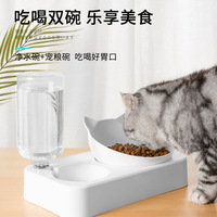 Distributeur d'eau automatique pour animaux de compagnie et bol à boire deux-en-un pour chat/chien avec alimentation automatique