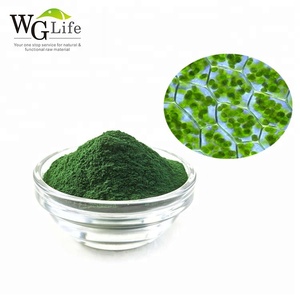 Vendita calda compresse di clorella biologica e Spirulina capsule in polvere puro naturale per uso alimentare integratori proteici confezionati in fusti - Product Image 2