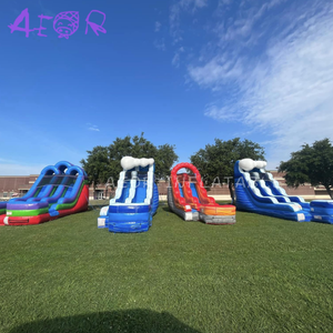 Glissières gonflables commerciales <span class=keywords><strong>de</strong></span> glissière gonflable <span class=keywords><strong>de</strong></span> glissière d'eau adulte extérieure avec la <span class=keywords><strong>piscine</strong></span> - Product Image 3