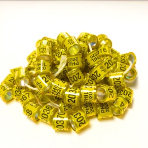 Fcc Duivensport <span class=keywords><strong>Ring</strong></span> Maat 8Mm - Product Image 4