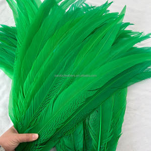 Plumas <span class=keywords><strong>de</strong></span> Faisán Plateadas Teñidas al por Mayor <span class=keywords><strong>de</strong></span> 24-26 Pulgadas (60-65 cm), Plumas <span class=keywords><strong>de</strong></span> Faisán Plateadas Verdes Largas en <span class=keywords><strong>Venta</strong></span> - Product Image 2