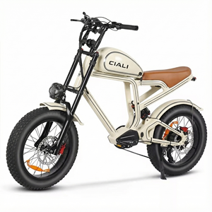 Xili Sports 48v 750w 19.2ah Vintage 750W אופניים חשמליים אופניים חשמליים סִגְנוֹן אביזרי אופניים חשמליים איתות רטרו אופניים חשמליים - Product Image 4