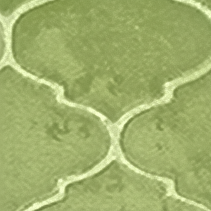 Jiuhua เสื่อปูพื้นสีทึบพิมพ์ลายนูนขนสั้นนุ่มกันลื่นทันสมัย - Product Image 1