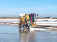 Salt Mining Field Machinery, Salt Collector,Salt Harvester