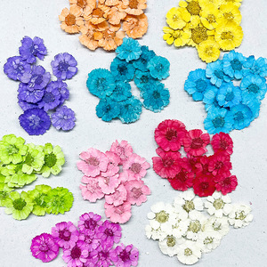 Commercio all'ingrosso piccolo <span class=keywords><strong>Zou</strong></span> Jiao fai da te materiale fiori secchi in rilievo cotone per telefono cellulare colla cosmetici colorante-lavorato pianta essiccata - Product Image 1