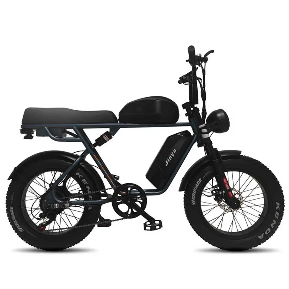 Benutzer definierte Aluminium legierung Rahmen 350W 48V Lithium batterie vorne hinten Scheiben bremsen 20 Zoll 4,0 Fett Reifen Fahrrad Snowbike für Erwachsene