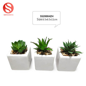 Personnaliser motif LOGO couleur rond <span class=keywords><strong>petit</strong></span> <span class=keywords><strong>pot</strong></span> <span class=keywords><strong>de</strong></span> <span class=keywords><strong>fleur</strong></span> <span class=keywords><strong>en</strong></span> <span class=keywords><strong>terre</strong></span> cuite avec plante succulente artificielle - Product Image 3