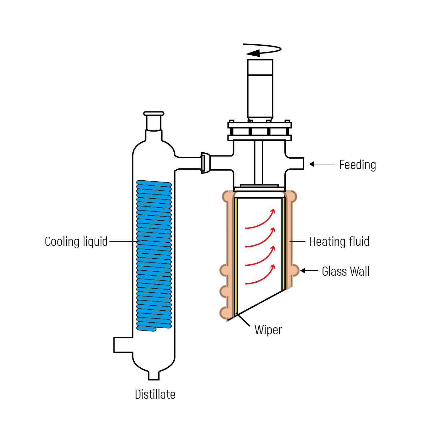 Быстрая доставка, Оборудование Для Экстракции Масла cbd, короткодорожная молекулярная дистилляция, Дистилляция cbd