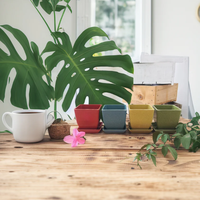 Pioneera Dia Ensemble de pots de fleurs carrés décoratifs de 8cm en fibre de riz Pots de biodégradation écologiques pour plantes Pots de plantes d'intérieur