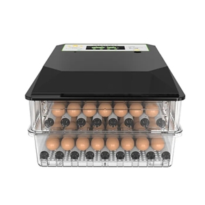 2023 Incubatrice Automatica a Temperatura Controllata per <span class=keywords><strong>Uova</strong></span> di Galline Ovaiole - Product Image 1