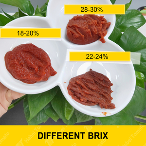 Concentré de tomates biologiques purée en conserve de haute qualité de marque OEM pâte de tomates en conserve - Product Image 4