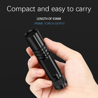 Lampe de poche en aluminium avec détecteur pour animaux domestiques, piles AA, LED UV, lampe de poche noire, vente en gros