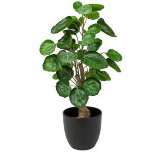 <span class=keywords><strong>Macetas</strong></span> ecológicas <span class=keywords><strong>de</strong></span> PP para bonsái, <span class=keywords><strong>macetas</strong></span> <span class=keywords><strong>grandes</strong></span> <span class=keywords><strong>de</strong></span> plástico en varios colores para decoración <span class=keywords><strong>de</strong></span> plantas <span class=keywords><strong>de</strong></span> jardín, diseño <span class=keywords><strong>de</strong></span> uso <span class=keywords><strong>de</strong></span> suelo, venta al por mayor - Product Image 5