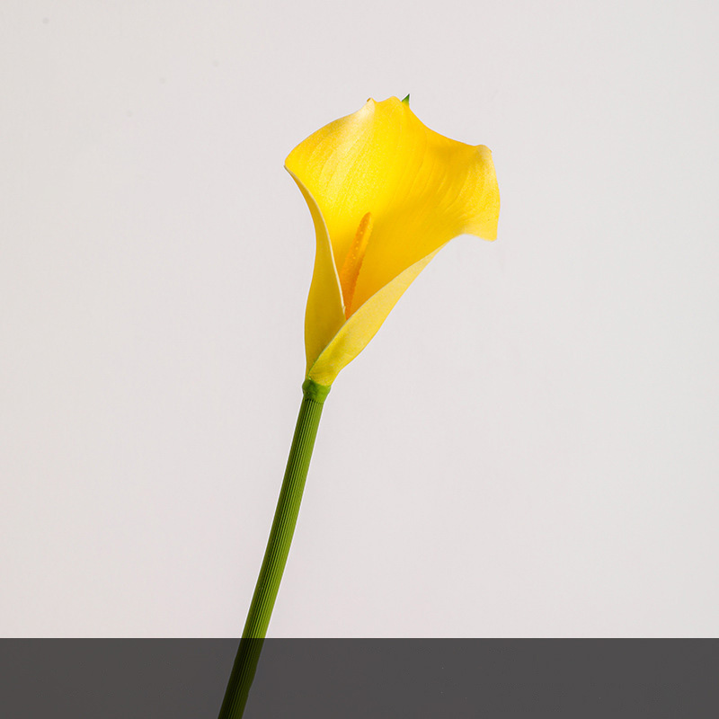 Amarillo