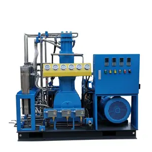 Compressori Booster per Gas aria ossigeno senza olio che riempiono bombole di ossigeno e serbatoio 40 bar per generatore di ossigeno
