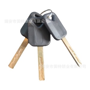 Cylindre de serrure de porte de camion Delong X3000 X5000 avec poignée extérieure et cylindre intérieur pour remplacement et réparation - Product Image 2