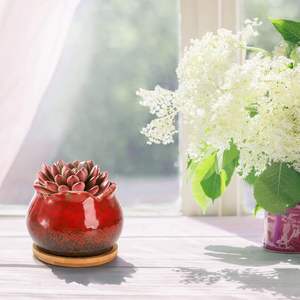 MDJ Lot de 6 pots à plantes succulentes et cactus en céramique émaillée de 4 pouces, écologiques, avec soucoupe de drainage, design moderne, pour intérieur/extérieur - Product Image 4