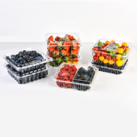 Aangepaste transparante fruitverpakking voor blauwe bessen, wegwerp plastic clamshell verpakking voor blauwe bessen