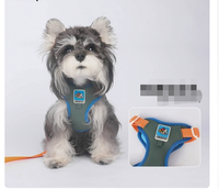 Harnais pour chien de compagnie, style dessin animé tendance, léger, rembourré, antidérapant, anti-évasion, 100% nylon