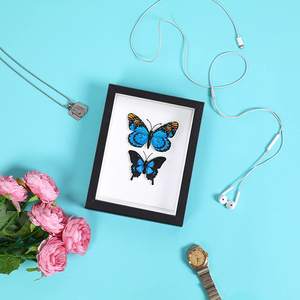 Cadre photo 2026 avec verre véritable, <span class=keywords><strong>boîte</strong></span> à souvenirs en bois profond, vitrine pour spécimen de papillon, cadre à insectes verrouillable - Product Image 1