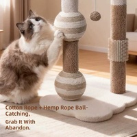 Arbre à chat arqué avec boule de catnip, corde en coton verticale, pour l'auto-entretenissement, tapis à gratter durable qui ne se déchire pas, style mignon