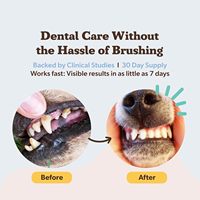 Friandises à Mâcher Douces pour Chiens et Chats – Rafraîchisseur d'Haleine, Nettoyage des Dents, Élimination de la Plaque et du Tartre, Soin Complémentaire à base d'Algues, HMP, Postbiotiques pour des Gencives Saines – Pour Tous
