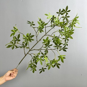Nouvel Arrivage Artificielle Japonaise Andromeda <span class=keywords><strong>Pieris</strong></span> <span class=keywords><strong>Japonica</strong></span> Tige Verdure Feuilles Latex Real Touch Décoration de boutique de mariage - Product Image 6