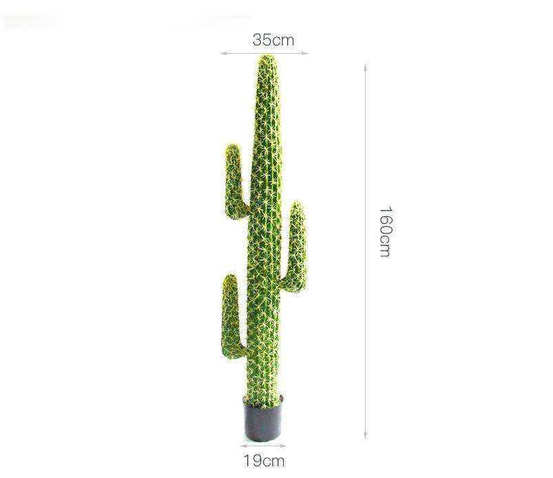 Trois cactus épineux jaunes avec un pot.