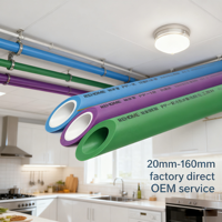 Plomberie en gros PN16 Tube d'eau chaude et froide en plastique Tuyau en polypropylène Tube d'eau PN25 PPR Tube en plastique Tuyaux Ppr pour la maison